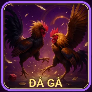 Đăng nhập vào hệ thống cá cược