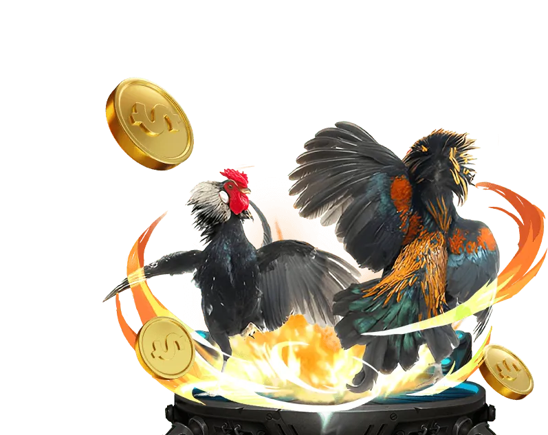 Lịch sử phát triển của trường gà mộc hóa